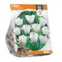Baltus Tulipa Crispa Honeymoon tulpen bloembollen per 10 stuks
